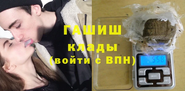 PSILOCYBIN Вяземский
