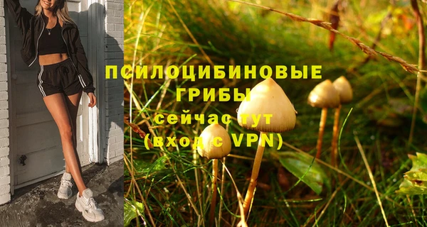 круглые Вязьма