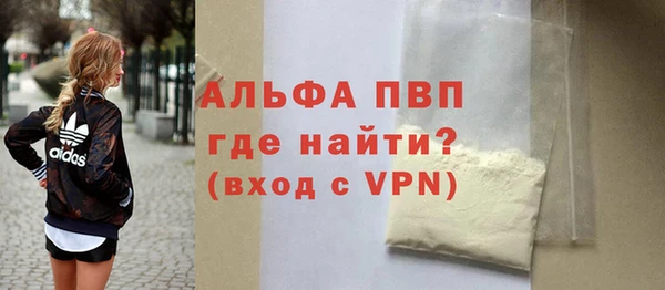 PSILOCYBIN Вяземский