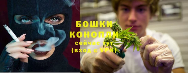 PSILOCYBIN Вяземский