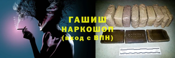 PSILOCYBIN Вяземский