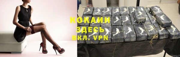 PSILOCYBIN Вяземский