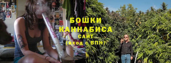 PSILOCYBIN Вяземский