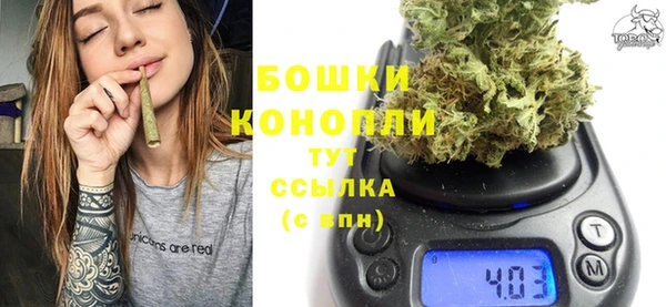 PSILOCYBIN Вяземский