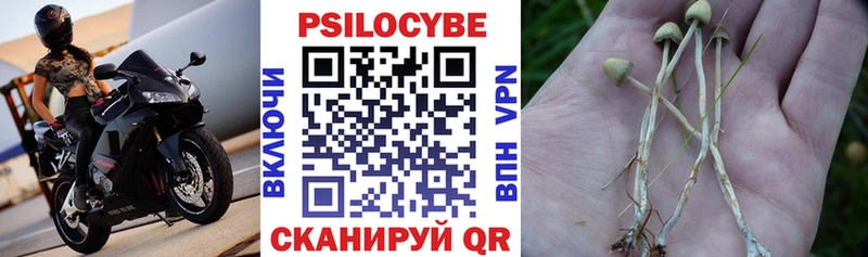 где продают наркотики  Коломна  сайты даркнета как зайти  Галлюциногенные грибы прущие грибы 